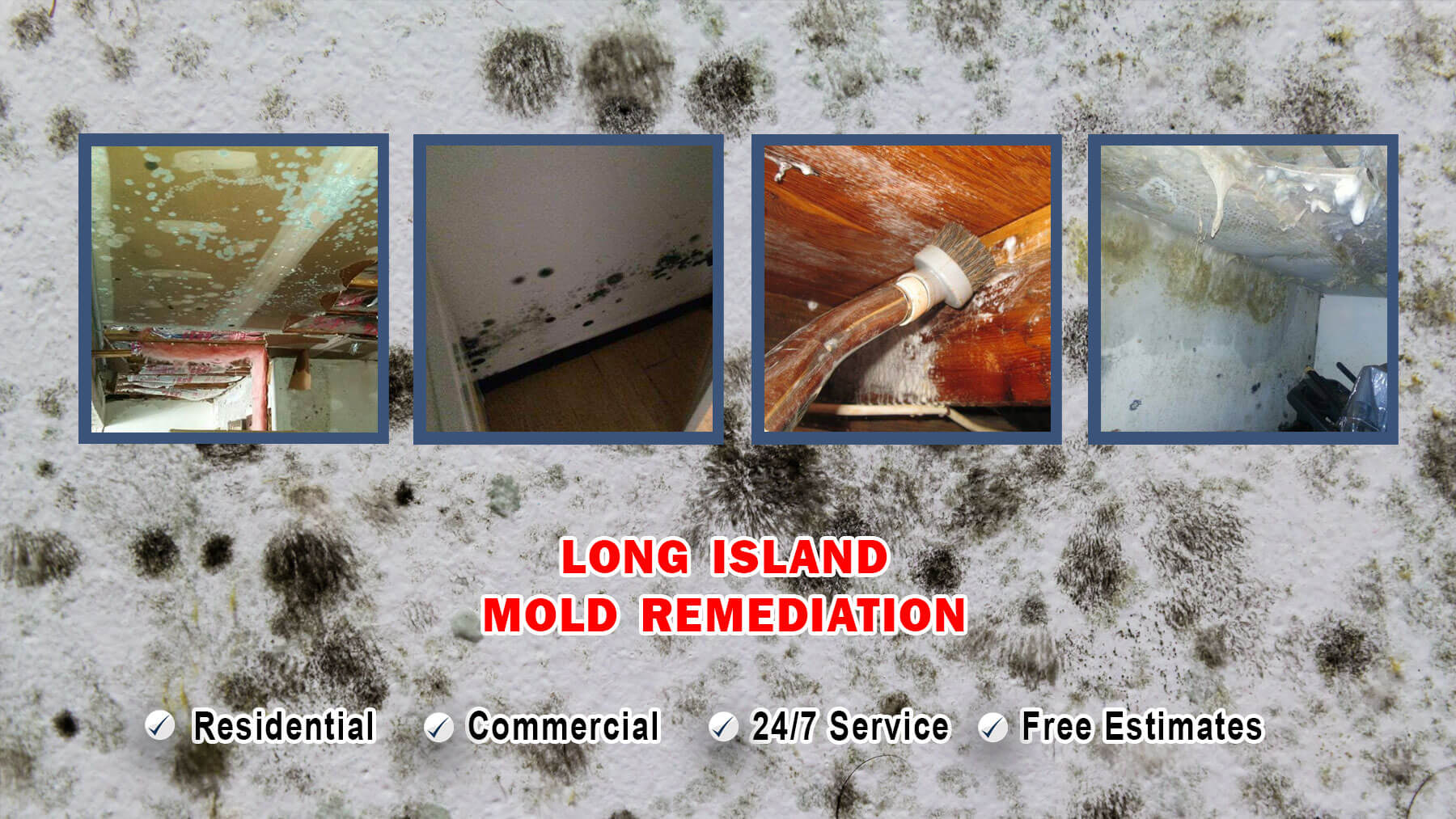 Long Island Mold Removal